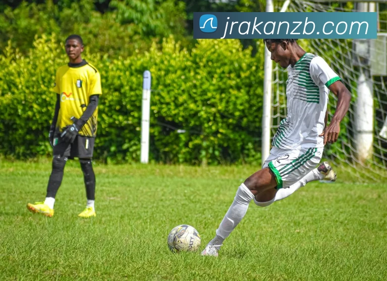 App Interface Preview